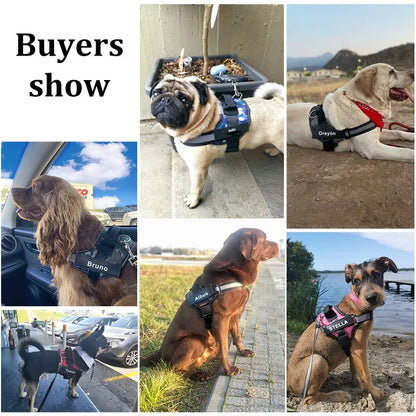 Professional No-Pull Dog Harness